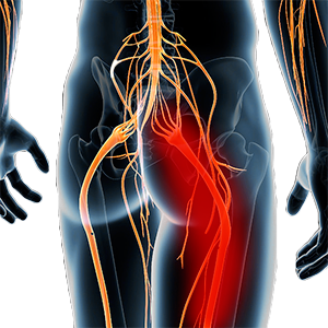 Osteopatia no centro de Florianópolis