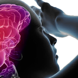 Osteopatia no centro de Florianópolis