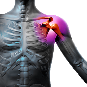 Osteopatia no centro de Florianópolis